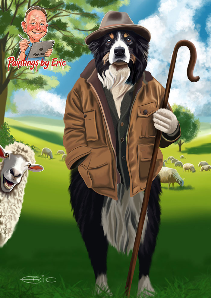 Border Collie dressed as a shepherd with a crook