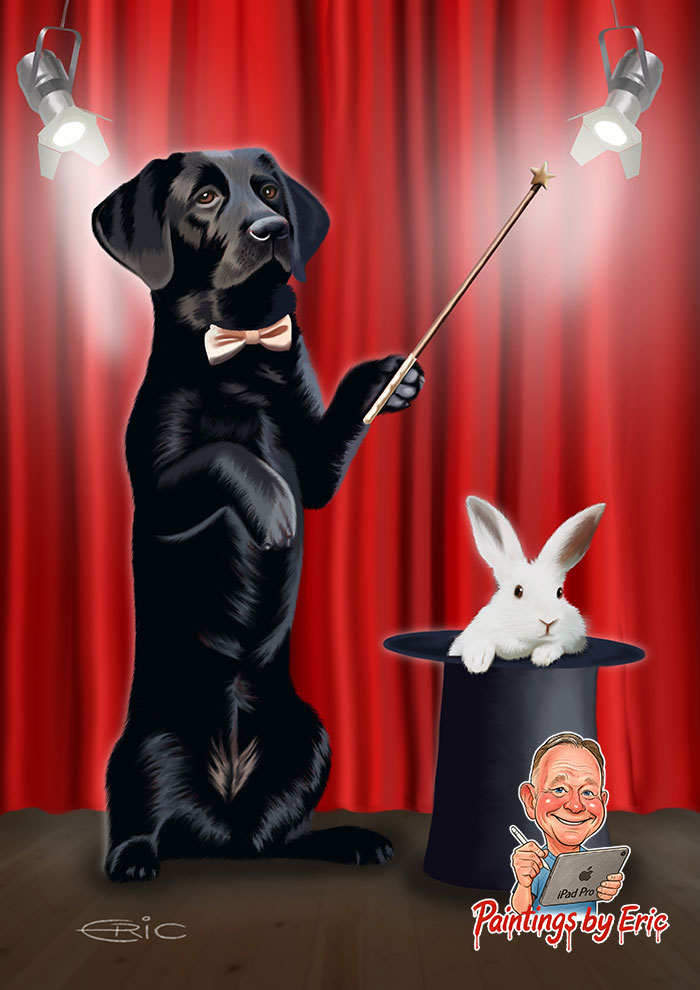 Black Labrador magician pulling a rabbit from a hat