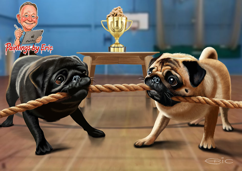 Two pugs in a tug of war competition illustration