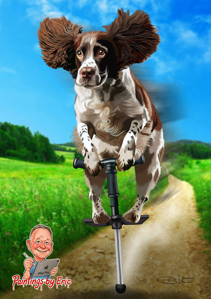 Springer Spaniel dog jumping on a pogo stick