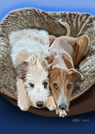 Dogs-for-Spike